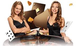bingoplus